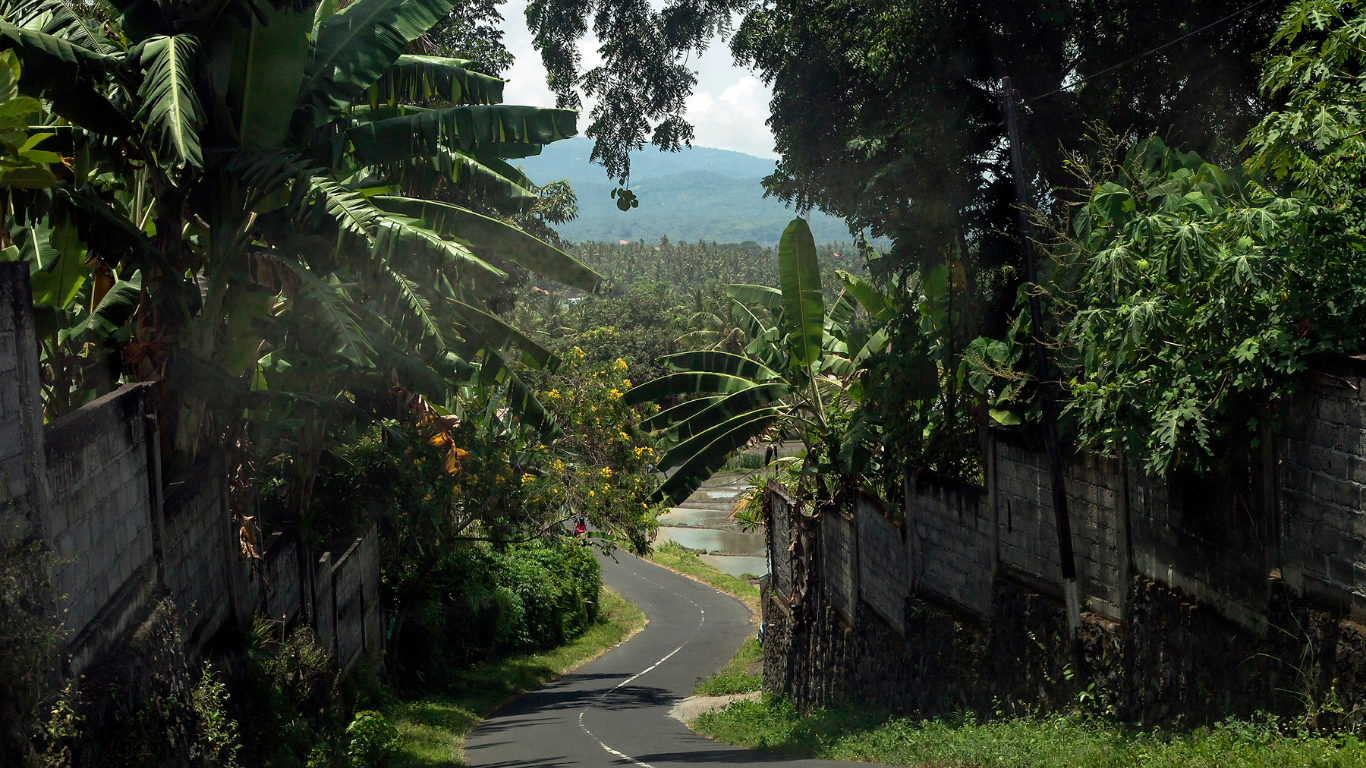 Begeleiding bij langdurige huur in Bali